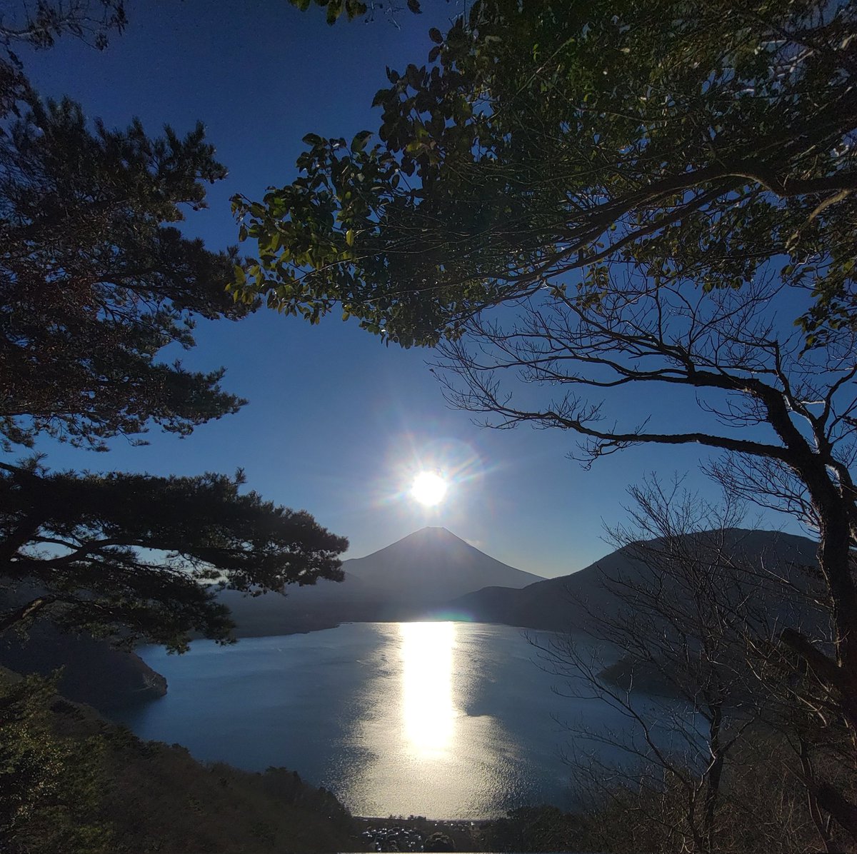 3110Banzai's tweet photo. 明けましておめでとうございます！ https://t.co/zzFX8C1nlV