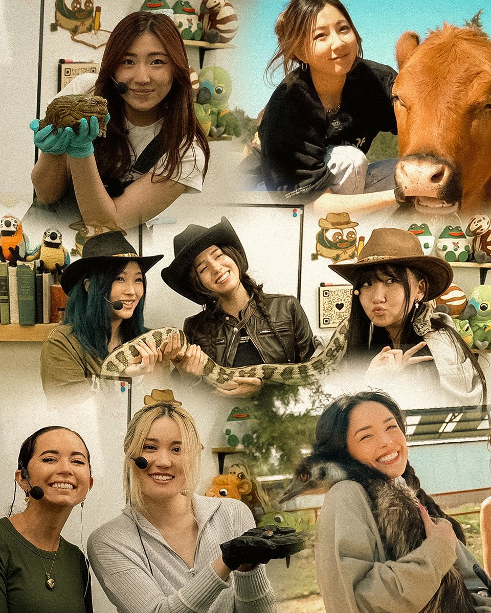 Thank you all for an AMAZING 2024 💚🦜

We welcomed 3 new ambassadors, educated 70+ million people and raised money for animal conservation &amp; much more!

The support you all have shown us this year has been unreal and we couldn't be more grateful :') 

See you in 2025! 🥳