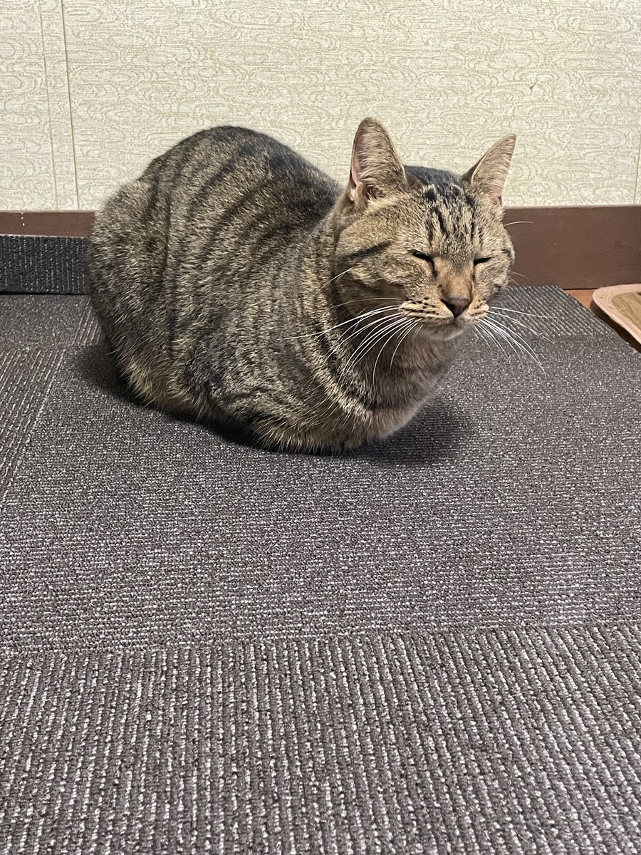 たいき (@taiki_1128) / Posts / X