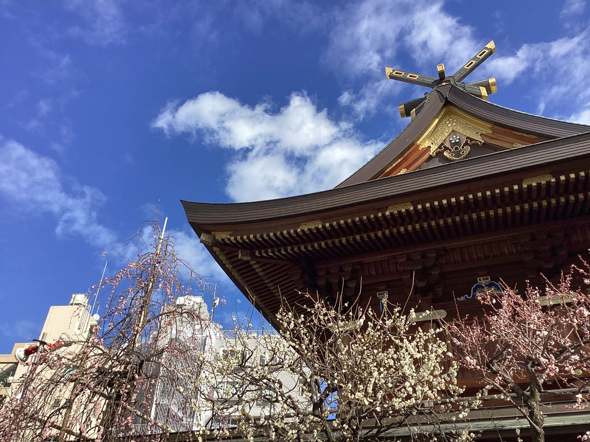 EikoIwayama's tweet image. 明けましておめでとうございます❣️ 皆様本年もどうぞよろしくお願い致します。政情不安な世の中ですが、今年こそ、平和な、紛争や事故、犯罪の少ない年になります様に！皆様のご健康とご多幸をお祈り申し上げます🙏☺️✍️📚㊗️#PresidentTrump　 #習近平主席　#PresidentMacron　＃石破首相　#岸田前首相