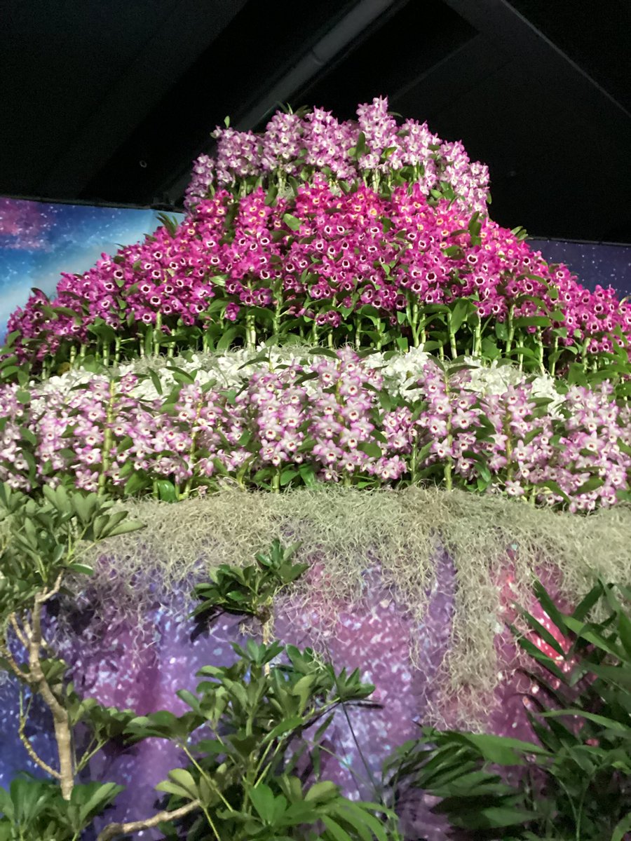 EikoIwayama's tweet image. 明けましておめでとうございます❣️ 皆様本年もどうぞよろしくお願い致します。政情不安な世の中ですが、今年こそ、平和な、紛争や事故、犯罪の少ない年になります様に！皆様のご健康とご多幸をお祈り申し上げます🙏☺️✍️📚㊗️#PresidentTrump　 #習近平主席　#PresidentMacron　＃石破首相　#岸田前首相