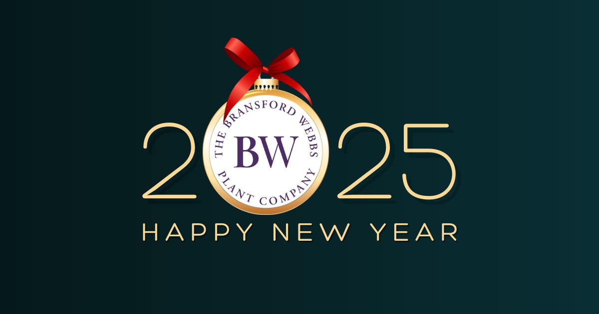 #Happynewyear! #happy2025 #newyear