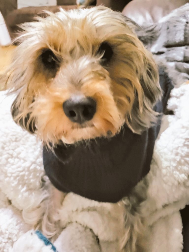 Happy New Years my beautiful frens Thank you for all your support and love this past year, it's very much appreciated ❤️

Here's hoping 2025 brings you all perfect health, oodles of happiness and love, and a big lottery win 💰

Big hugs and sloppy kisses from me 😘