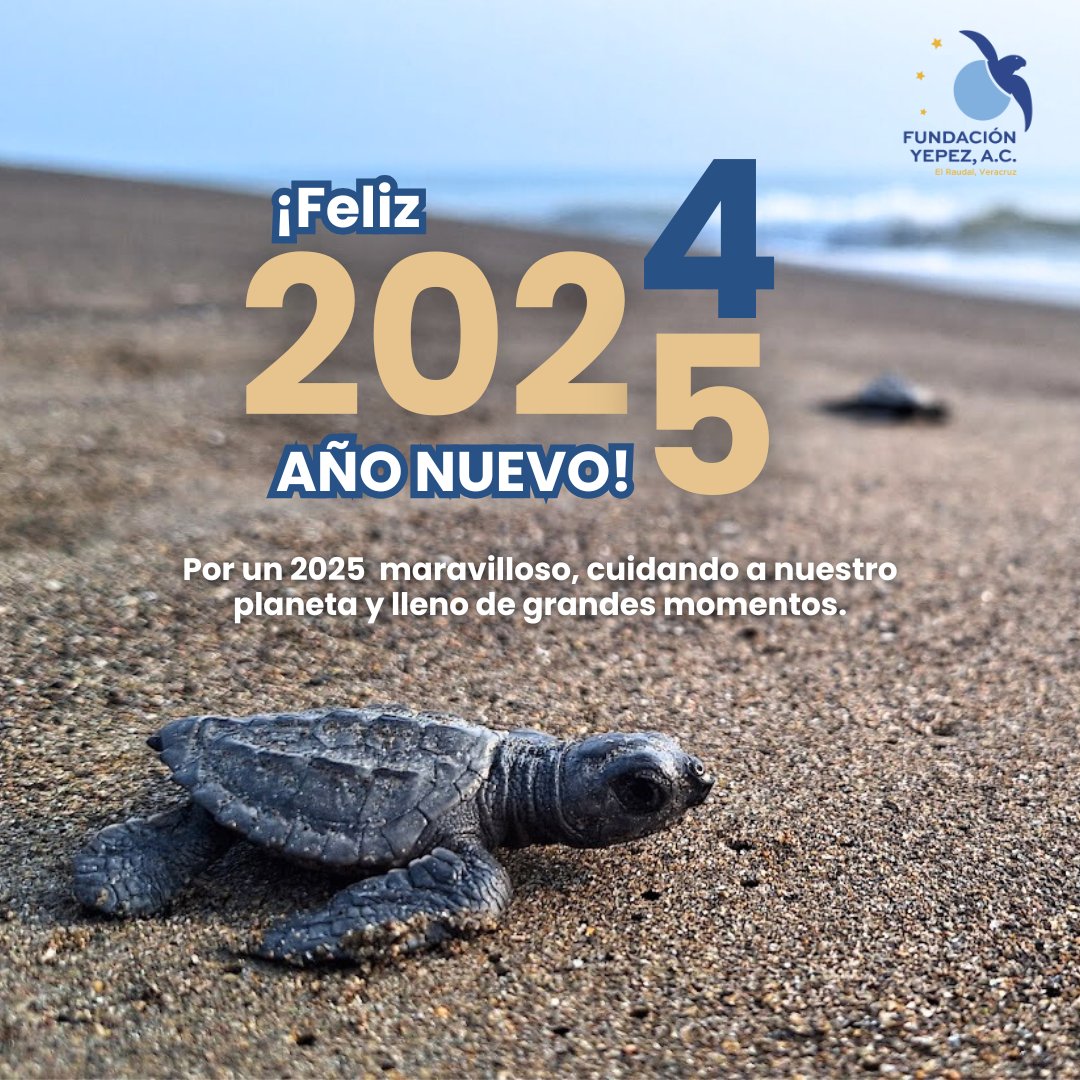 El equipo de Fundación Yepez les desea un maravilloso 2025, ¡Feliz AÑO NUEVO! ¡Gracias por tanto! 🌟