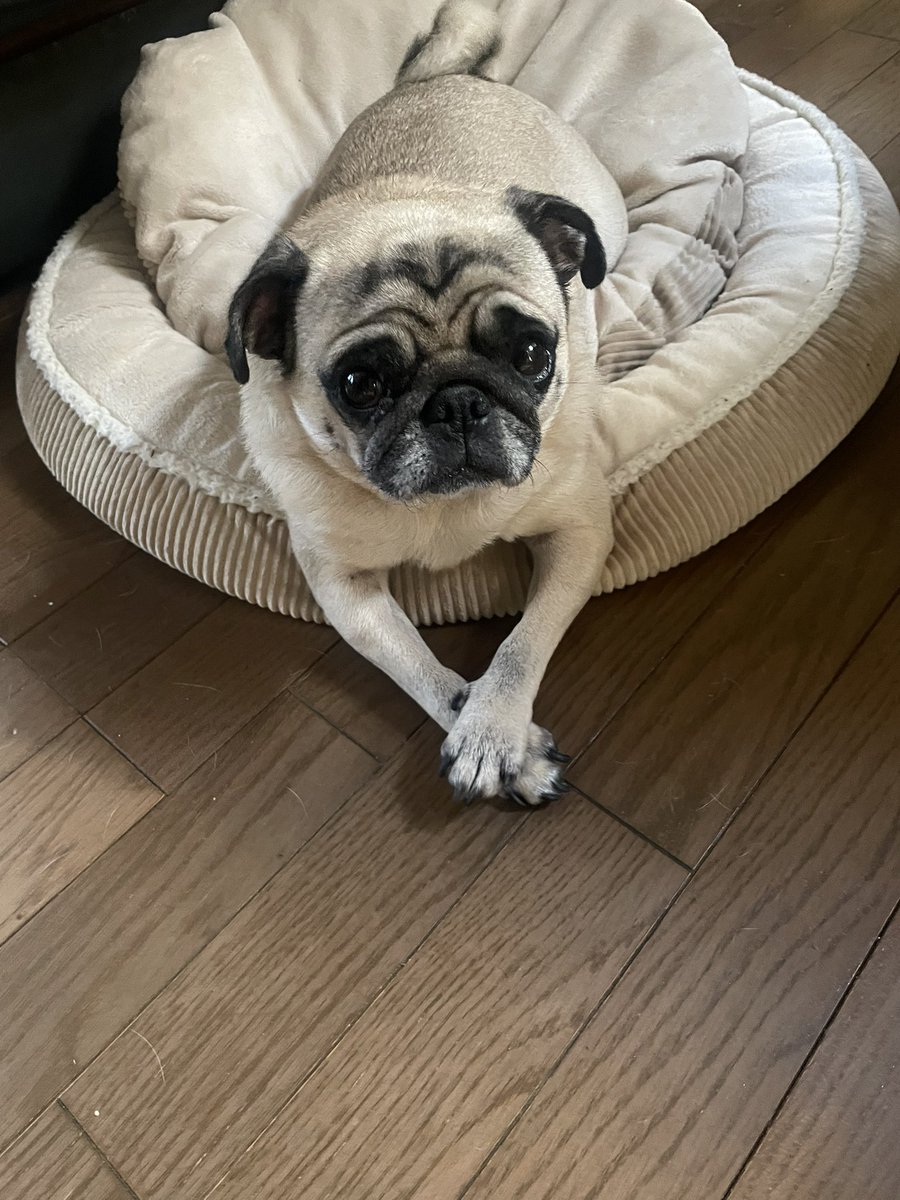 明けましておめでとうございます！
今年もよろろす