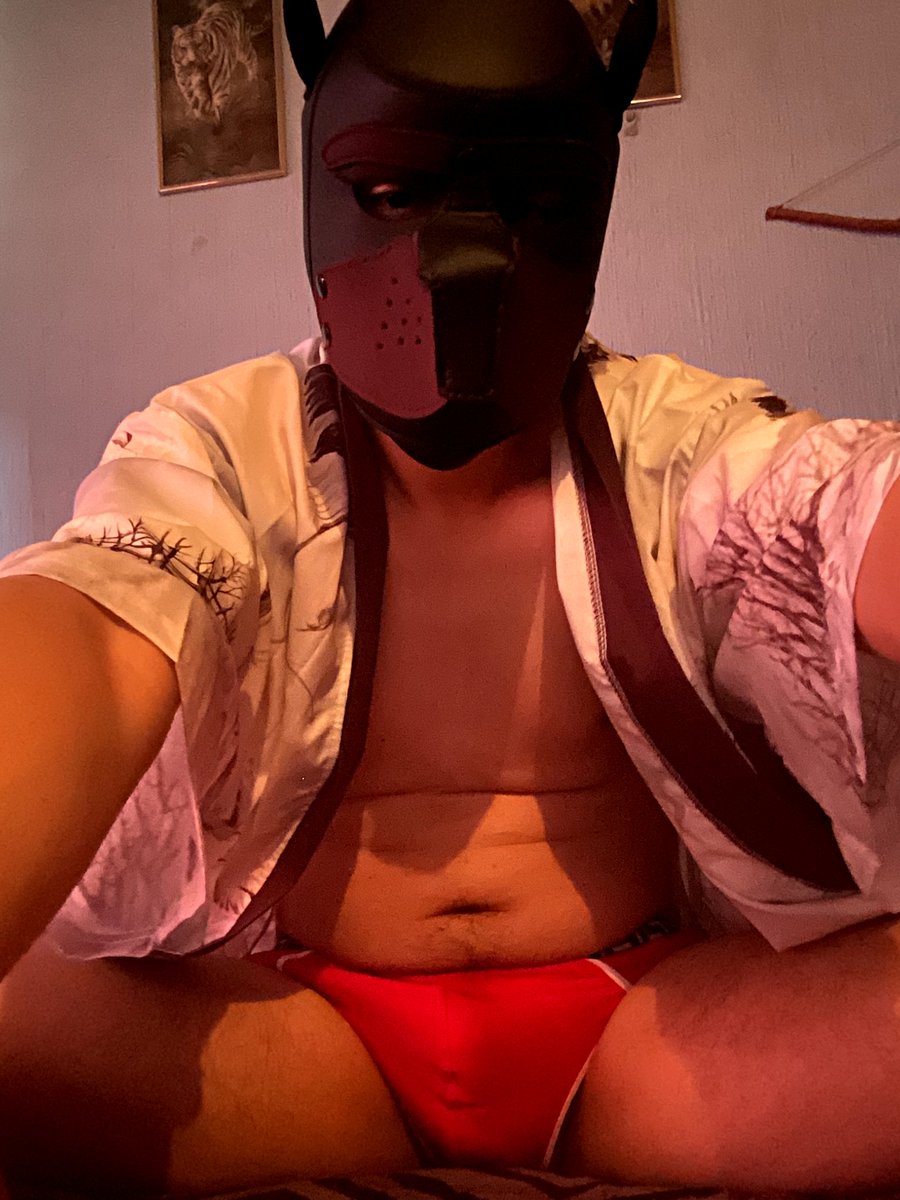 Xemo_pup's tweet photo. #CalzonRojo pa que haya mucho sexo... digo amor, si amor (っ˙༥˙🍆🍑ｃ) https://t.co/ti3xY3GjES