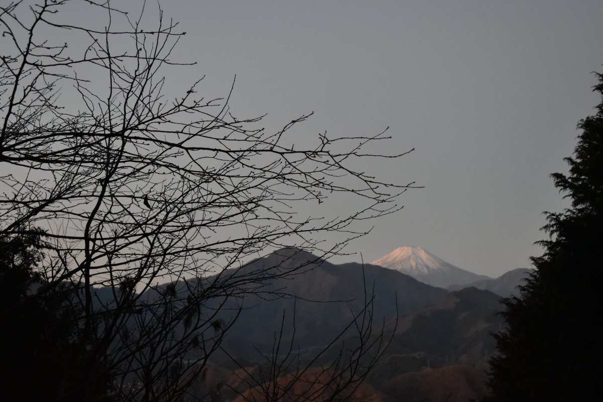 Rune_jara's tweet image. あけおめです🎍

日をまたぐ時はガッツリ寝てましたが、夜中から日の出を見にソロ登山してました。笑

今年から登山を始めようと思うので、色々登ってみたいです🗻
後データ納品の仕事も増えてきているので、しっかり頑張ります🥁

#あけましておめでとうございます 
#あけおめ 
#HappyNewYear2025