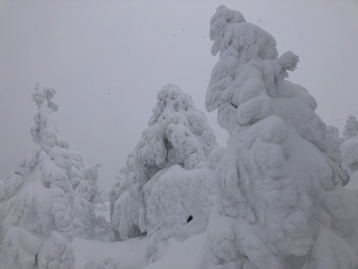 ⭕️ミッチー様774短い秋600大雪の奥飛騨 中山由美 on X: 
