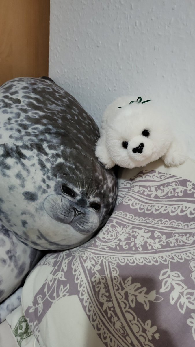 planet the seal tweet media