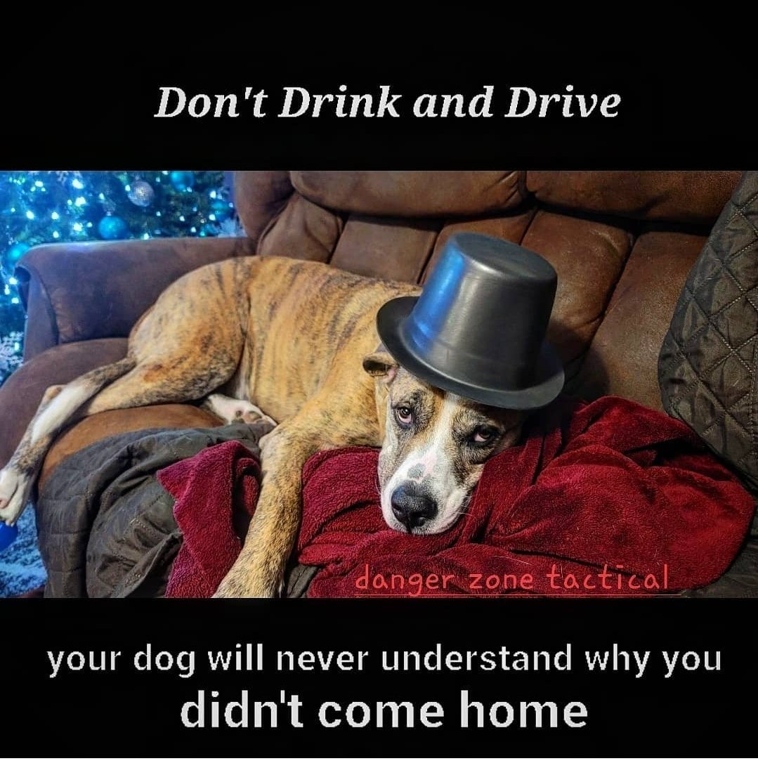 dangerzonetac's tweet photo. Stay safe, call a cab, #Uber, friend, a #Lyft, whatever it takes. 
#dontdrinkanddrive https://t.co/CMATVXBzXQ