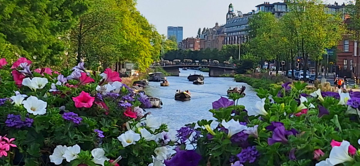calmanudo's tweet photo. @rogan_brendan A random bridge in Amsterdam! Happy New Year, Brendan, and remember, spring is coming! 😉 https://t.co/CKvGfcmxK0