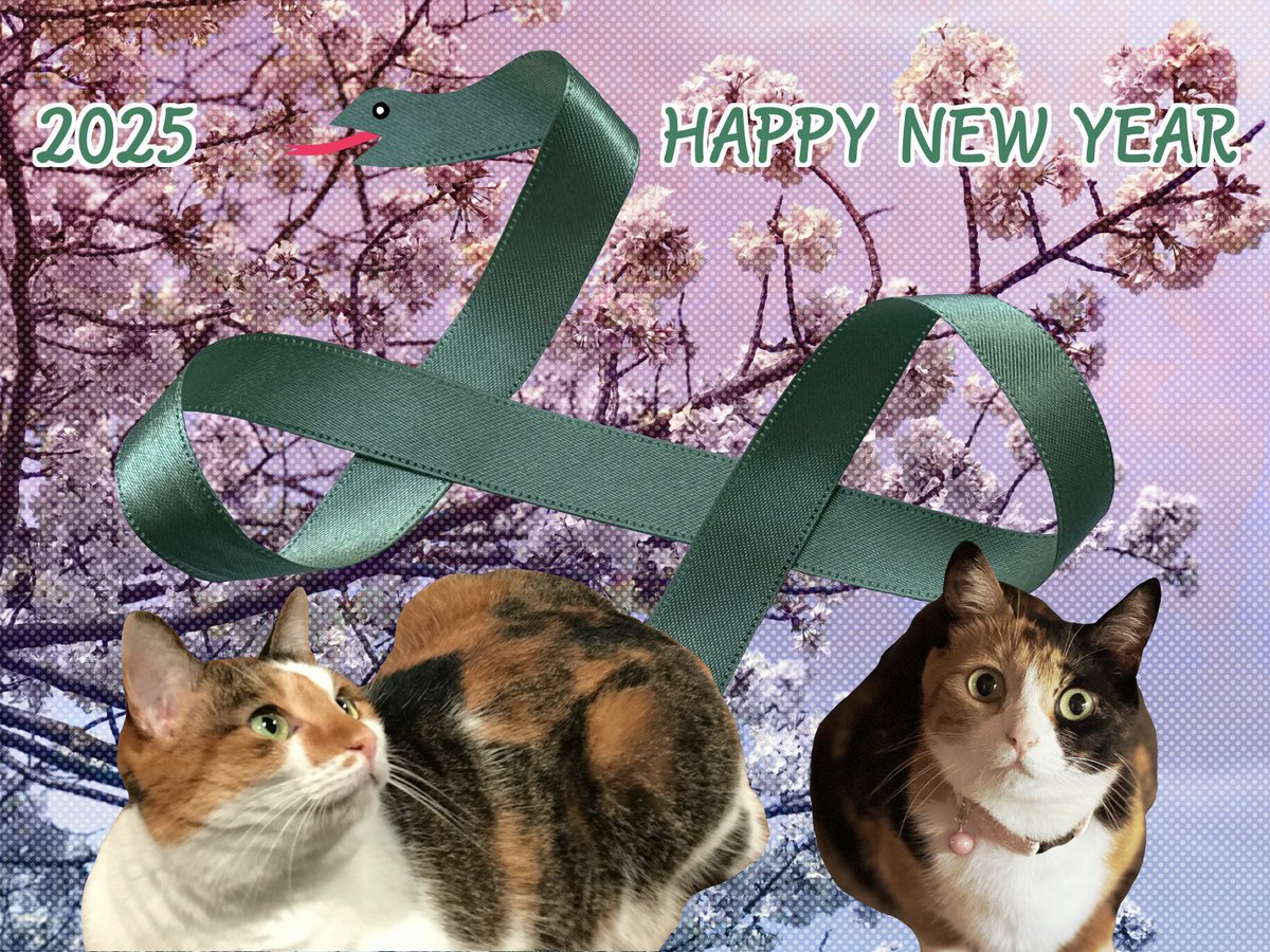 maya_szk's tweet photo. 🎍あけましておめでとうございます🎍
巳年が良い年でありますように🐍🐈🐈
#三毛猫
#縞三毛
#縞三毛猫更紗と三毛猫紬 https://t.co/JYuAsNG4oE