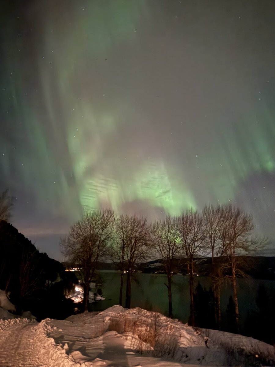 mrs1nil's tweet image. Happy new year, everyone! Nature put up the best «fireworks» this year. The northern lights at midnight in Surnadal, Norway. Quite magical. Let’s hope 2025 is a good one for all of us ❤️⚽️