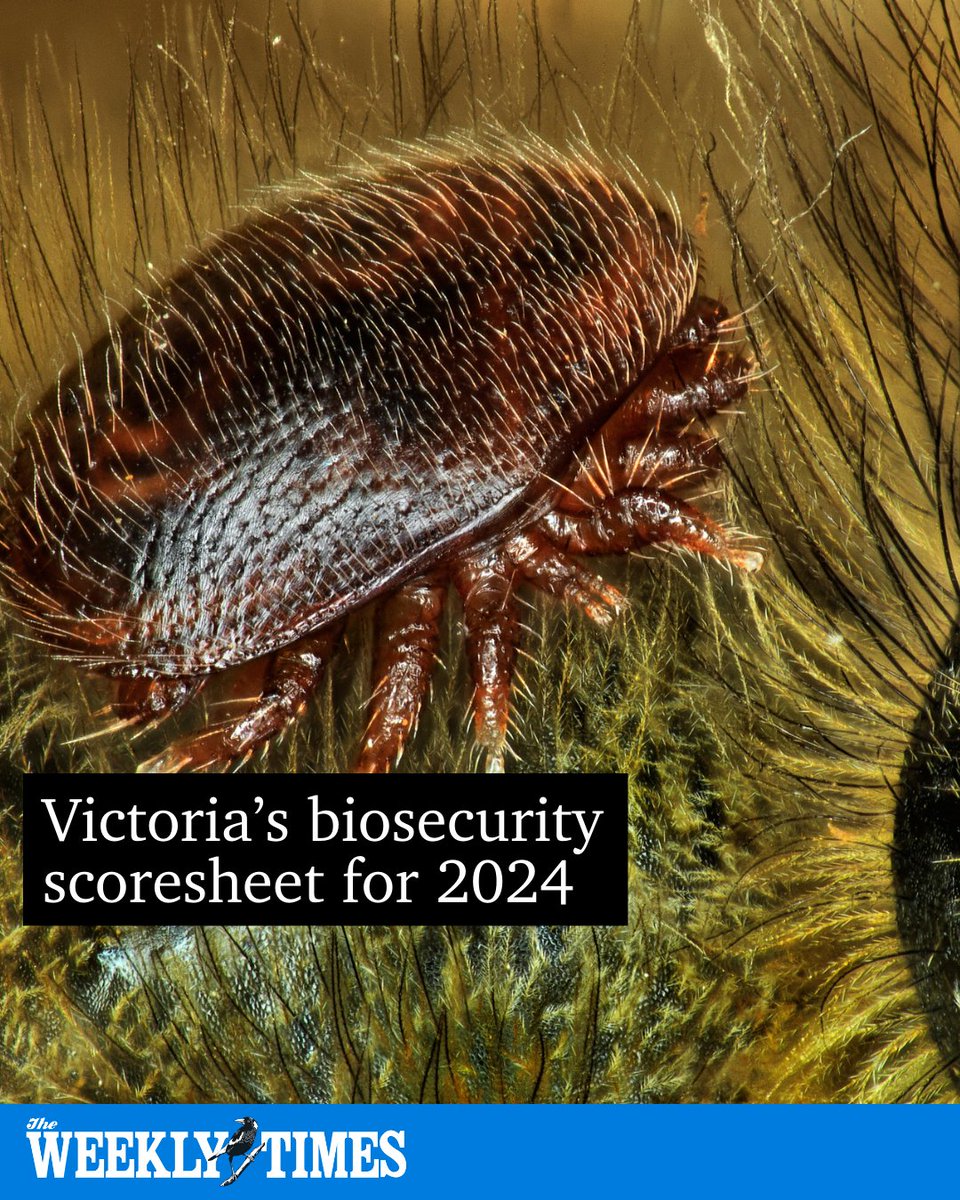 📍 From anthrax to avian flu, Victoria faced a number of threats to the state’s agriculture sector throughout 2024. 👉 bit.ly/401ztGw