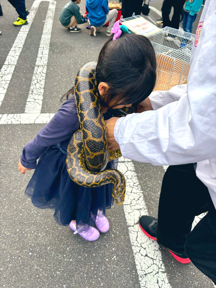 あけましておめとうございます！
おっきいベビ(ホンモノ)🐍も全く怖くない次女5才🤣

今年もよろしくお願いします！