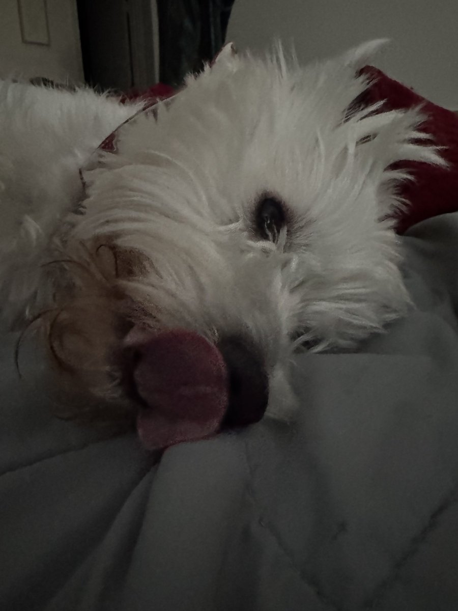 Here’s my #tongueouttuesday #TongueTuesday