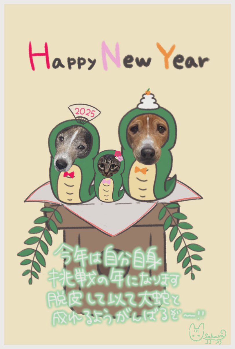 Bon418Sakurairo's tweet photo. 🎍あけましておめでとうございます🌅

昨年は色々あり、楽しいことばかりではない年でしたが、また一年犬も猫も健康で過ごせたことに感謝👏
今年は転職も決まったので心機一転気持ちを切り替えて頑張りたいです💪

本年も飼い主共々よろしくお願いします🙇 https://t.co/JmFALYk8bq
