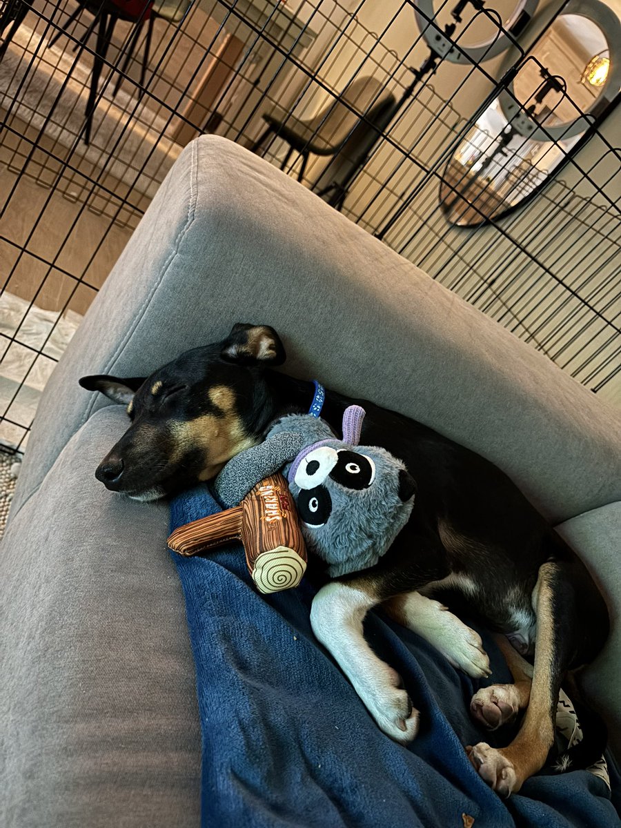 Happy New Year from DXB! 🥂

P.S. Say hi to JohnDog x