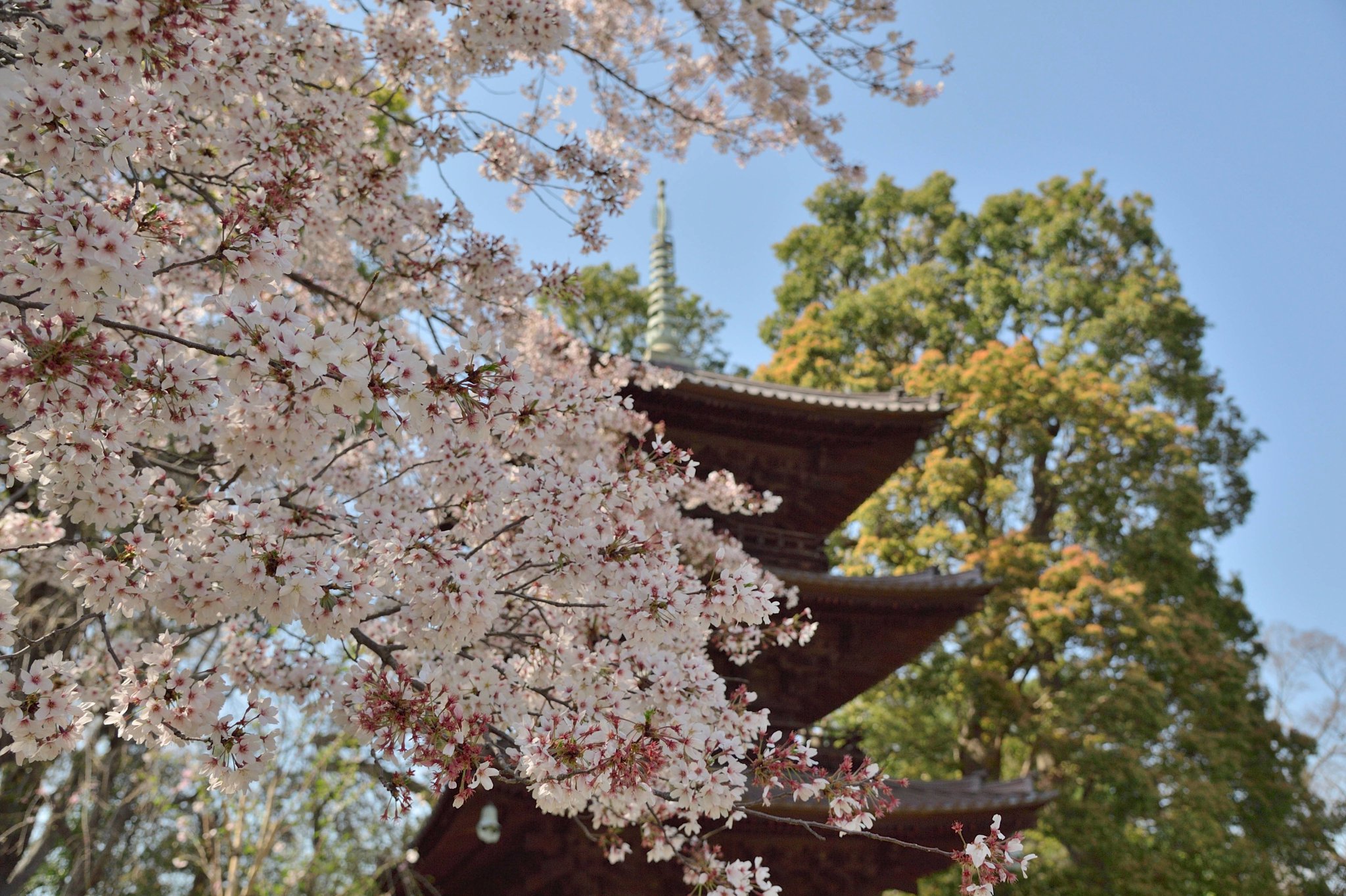 FourSeasonsHotel椿山荘20周年のムラノベネチアングラス