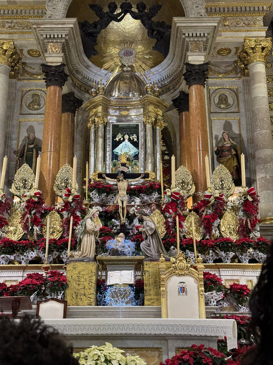 Mark Bartolo tweet media