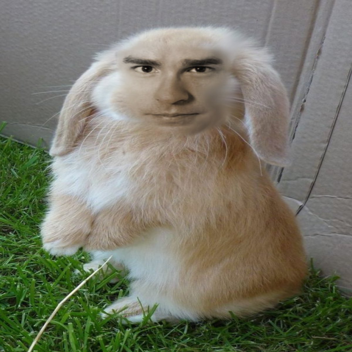 jameswilson0822's tweet image. 