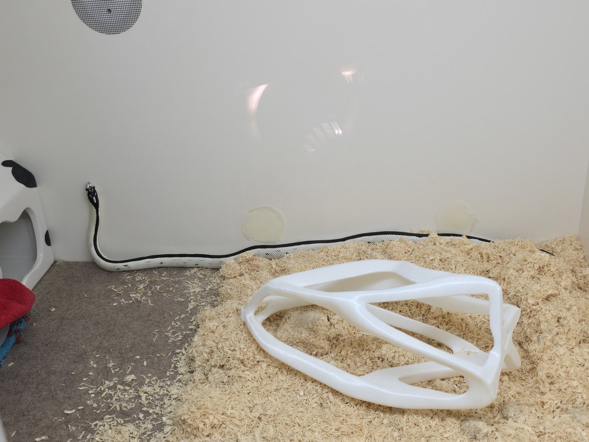 갑천이는 12월 31일에 송년탈피를 했고
지렁이는 이상했다(그리고 어디선가 똥냄새가 나는데 안보임)