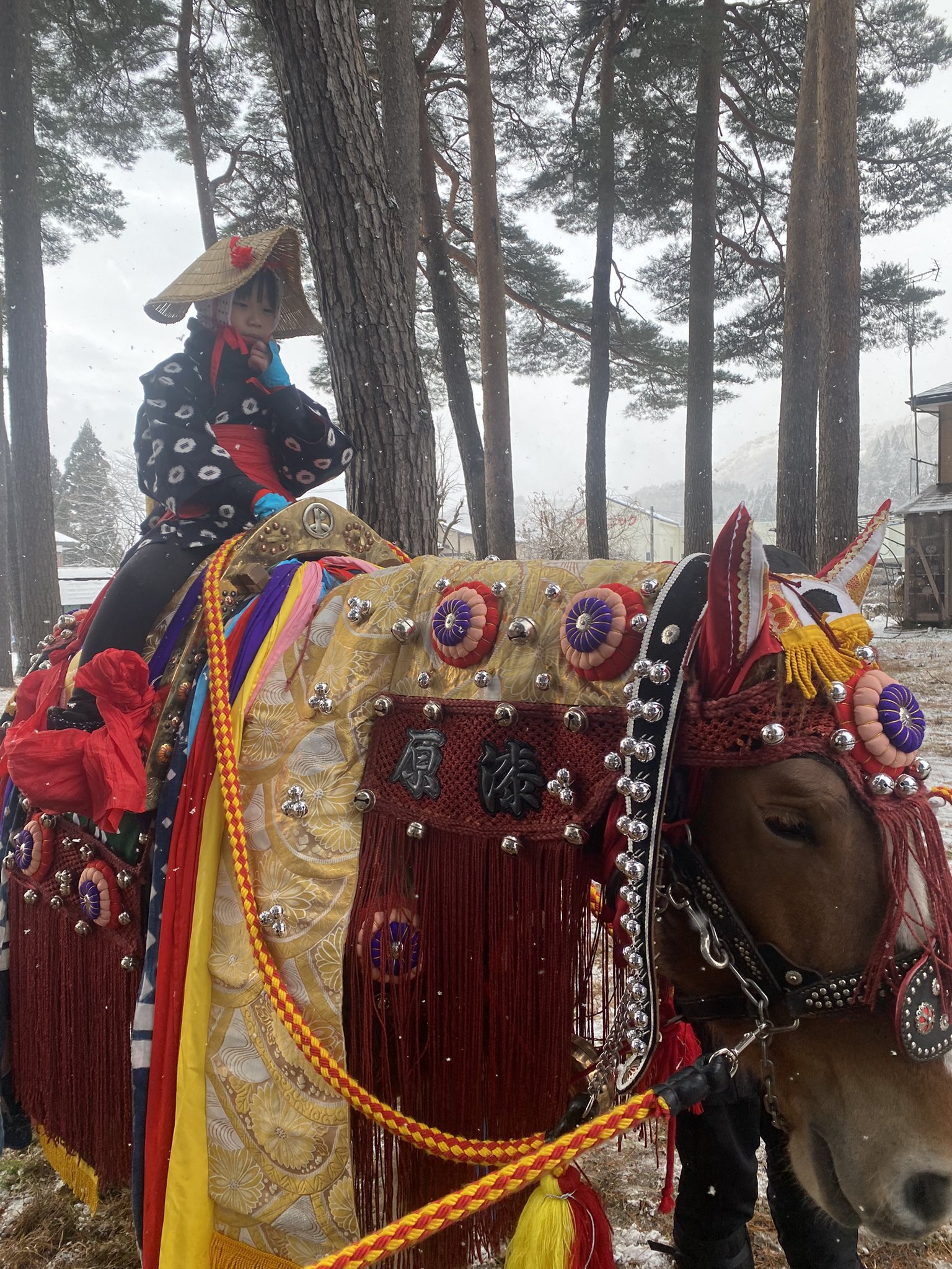 東京チャグチャグ馬コ (@tokyochaguchagu) / X