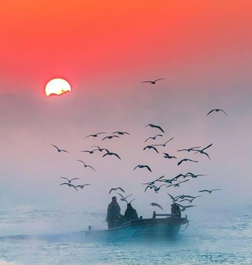 근 하 신 년
2025년 을사년
새해가 밝아왔습니다

그러나 
검은 먹구름이 
우리의  어깨를
짓누르고  있습니다 민족  모두의 지혜를 모아 현명하게
대처해  빠른
시일내에 위기를 극복하고 모두가
함께  웃는날을
만들어봅시다

금년도 건강하세요

임  종  식  배상