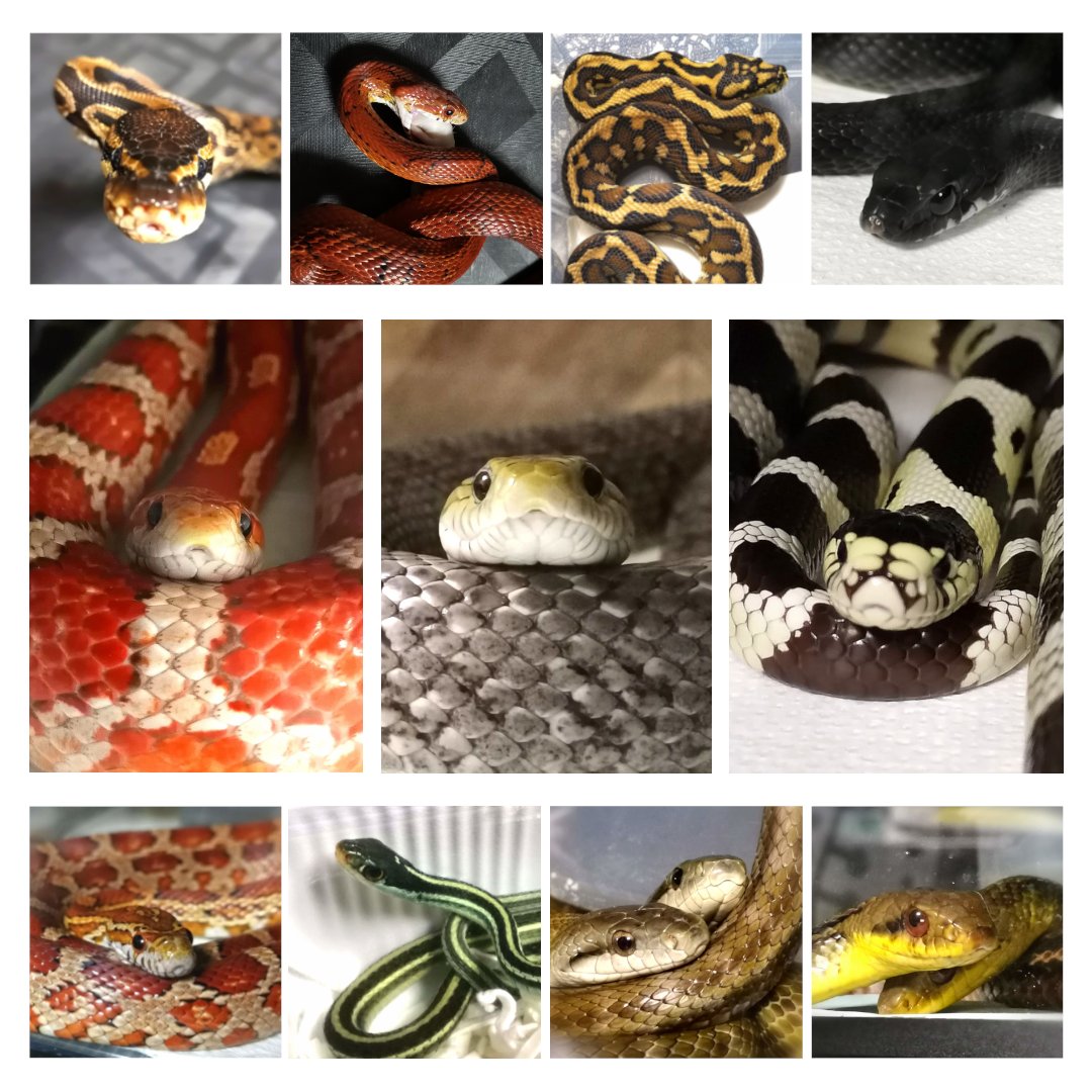 Miki (@sweetsweetdays) / Posts / X