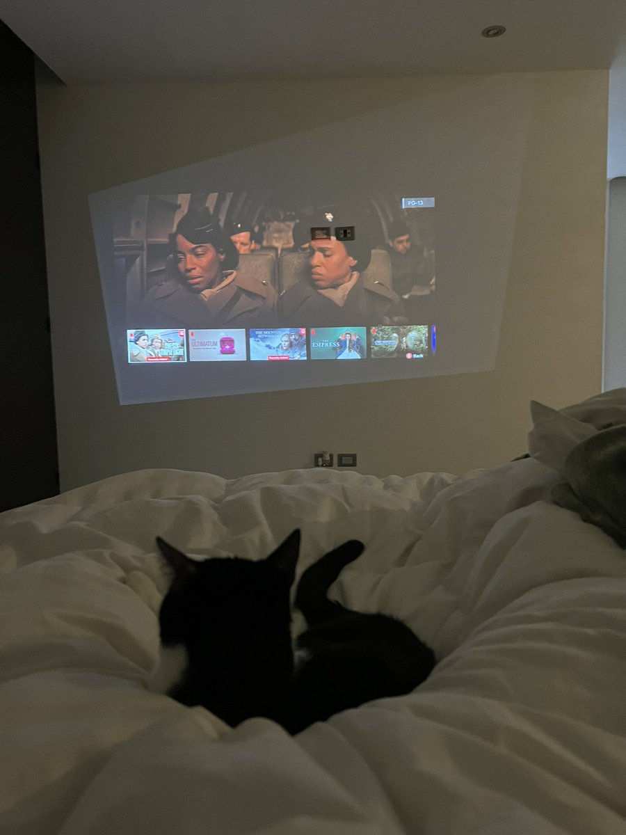 ponchokings tweet media