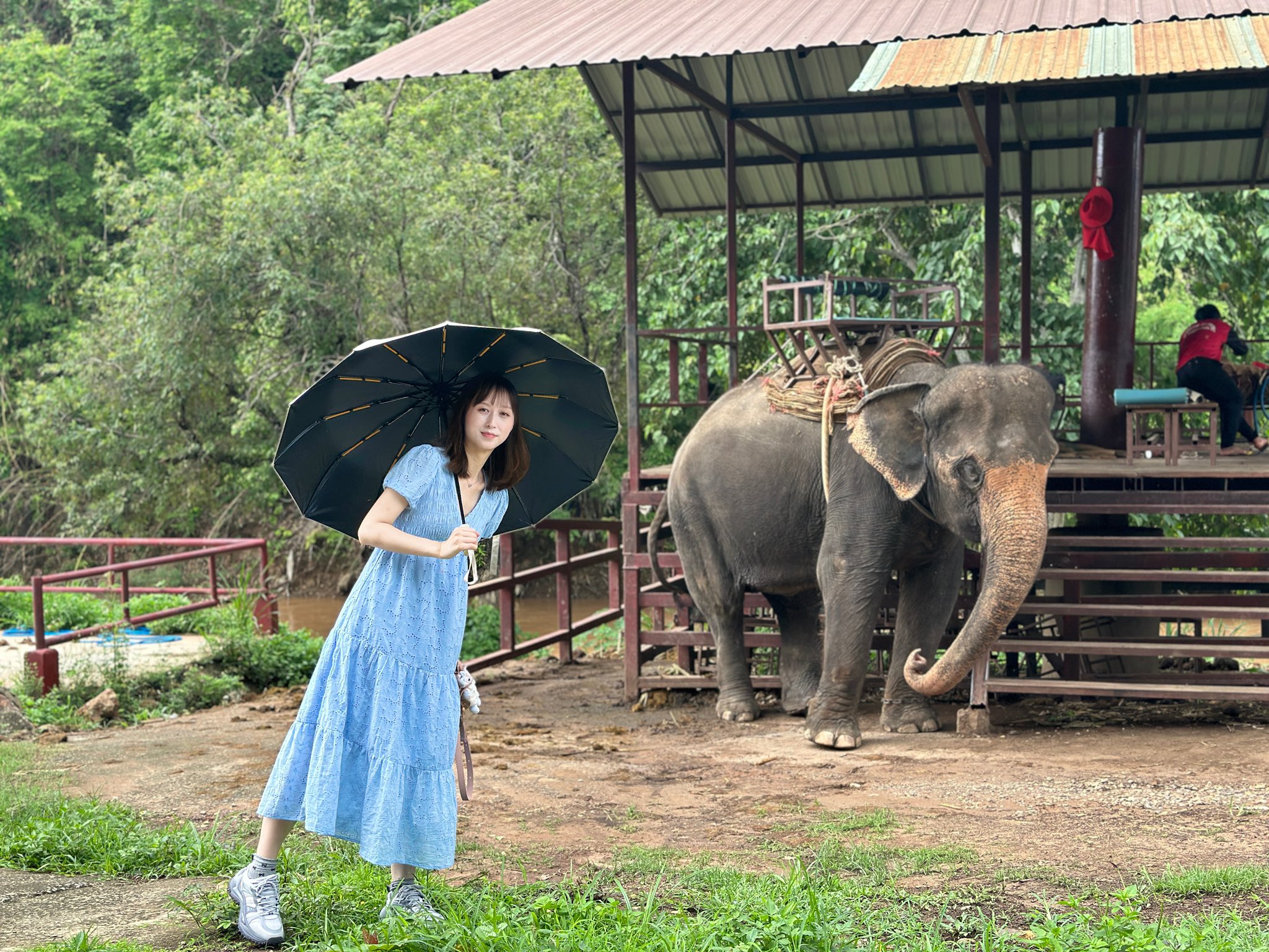 ＊ ❤︎びびさん専用❤︎ ＊ びびさんのポスト (@bibisan_weii) / X