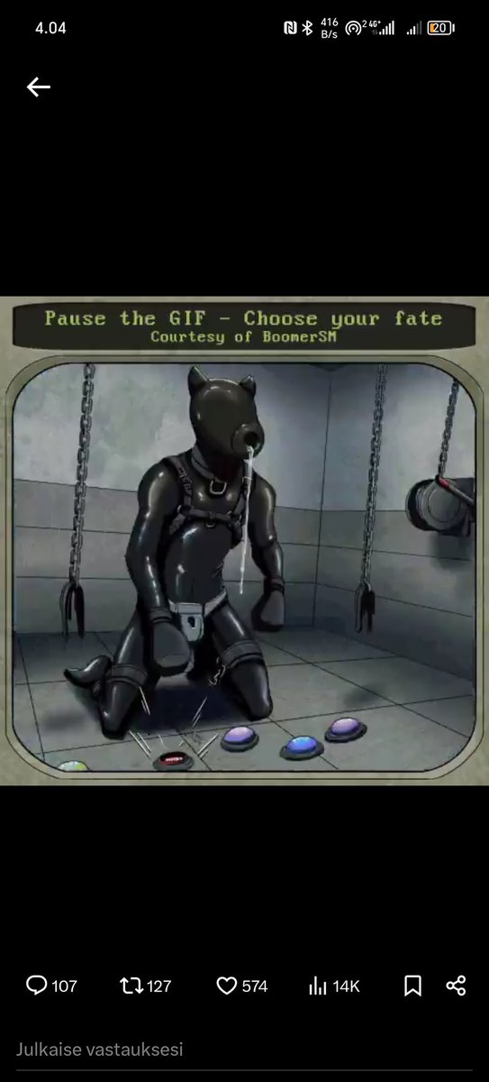 Finpupboy tweet media