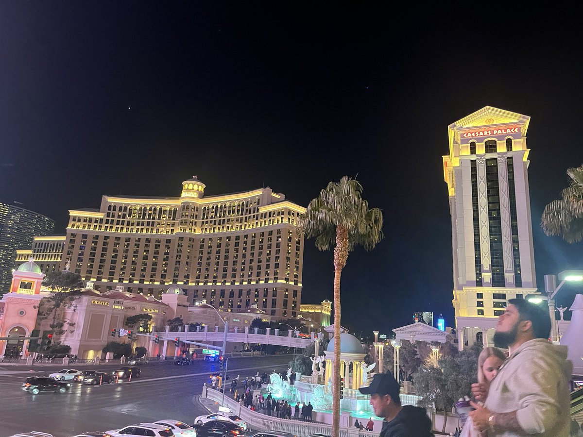 Katelyn Newberg tweet media