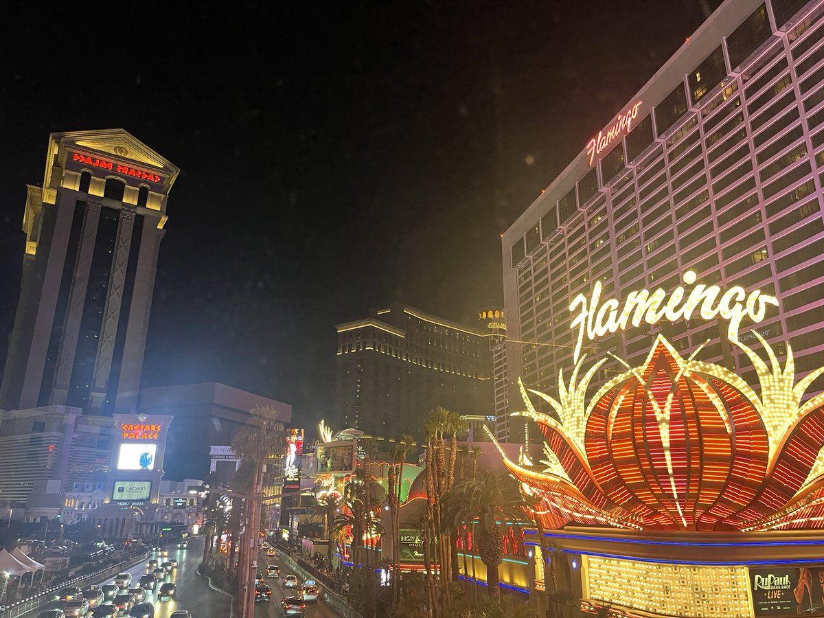 Katelyn Newberg tweet media