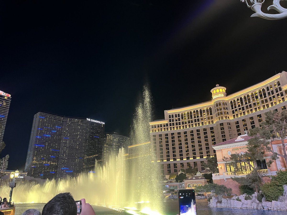 Katelyn Newberg tweet media