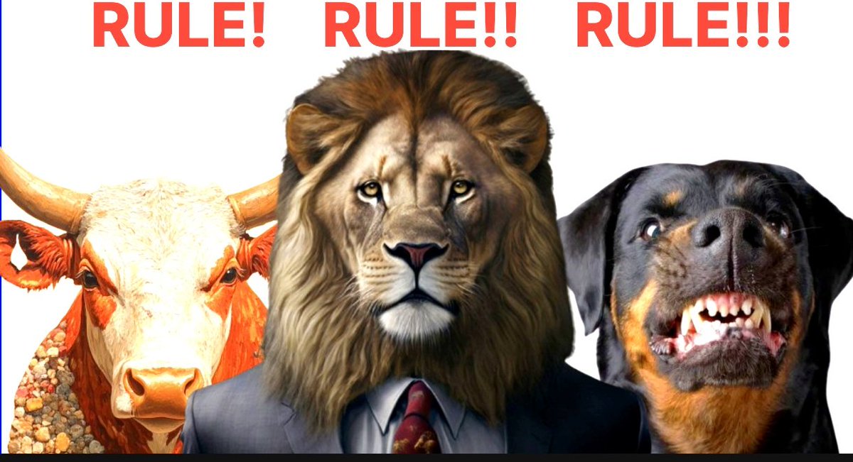 Suraj_Keshari1's tweet image. I&apos;m now OPEN for International YouTube Creators as a YouTube Script Writer with my WORLD-CLASS Storytelling-driven Scripts.

Anyone interested could connect with me via my email 👇
surajkeshari1100@gmail.com 

#scriptwriter #scriptwriting #youtubescriptwriter #storytelling