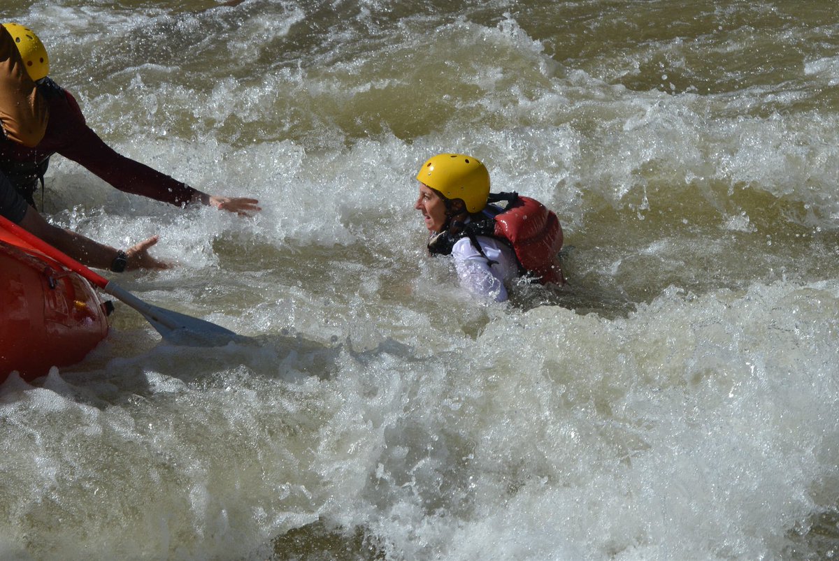 Todd Raymond tweet media