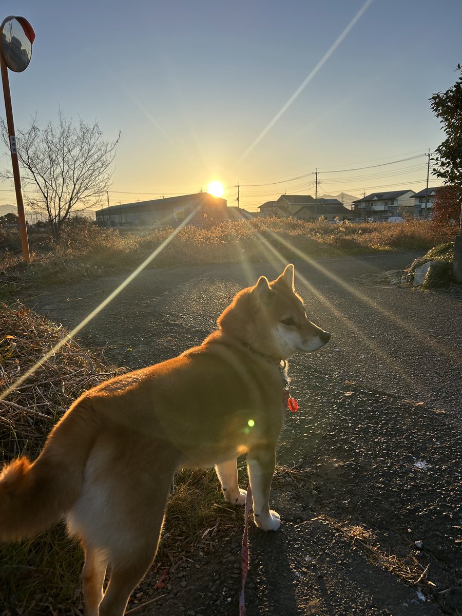 mokuest's tweet photo. あけましておめでとうございます🎉 https://t.co/3LWV3hQpCz