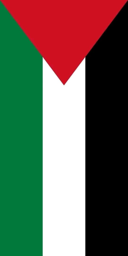 Que la bandera de Palestina invada X