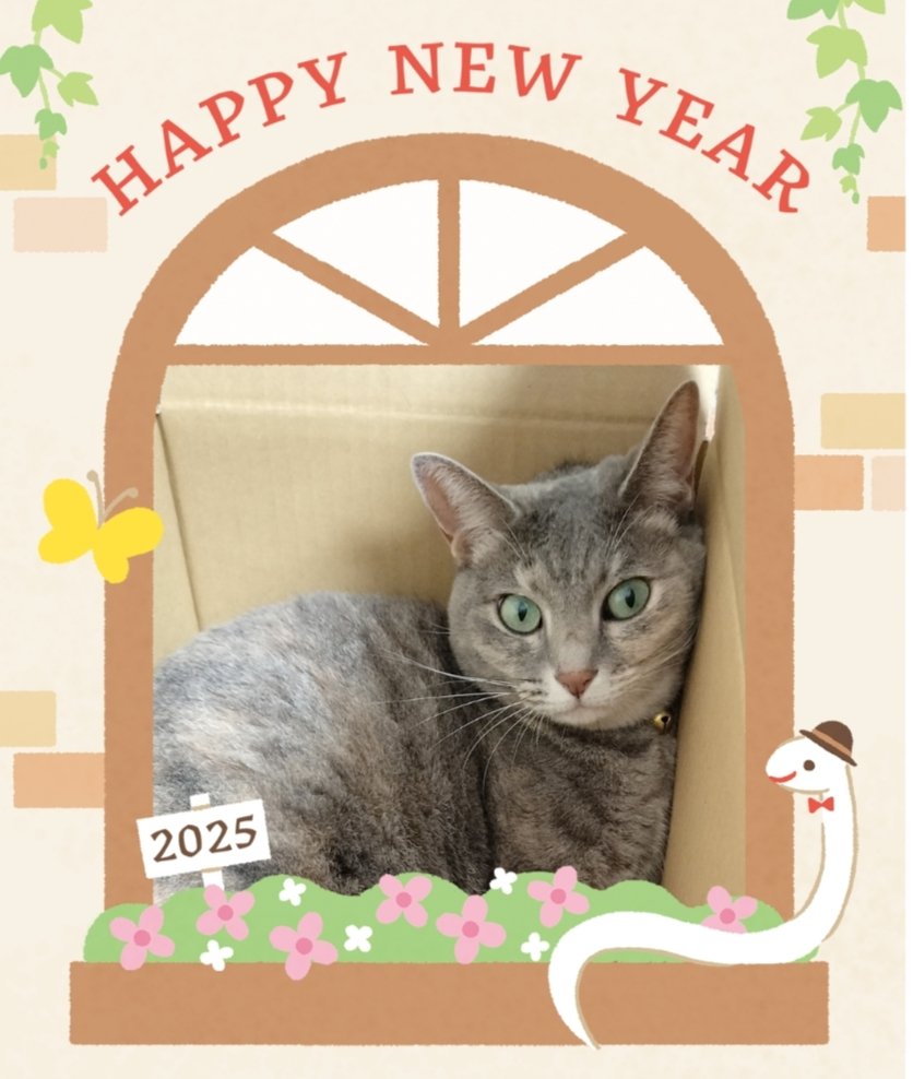 nyata_ly's tweet photo. あけましておめでとうございます。
今年の目標は早く部屋を片付けて作業用机を組み立てることです。
（いまだ資材類は床置き、机はダンボールの中です）

よろしくお願いします(⁠◡⁠ ⁠ω⁠ ⁠◡⁠) https://t.co/INNos6wDus
