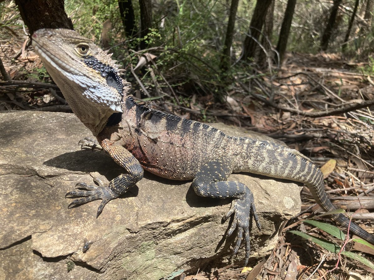 Amy Fallon tweet media