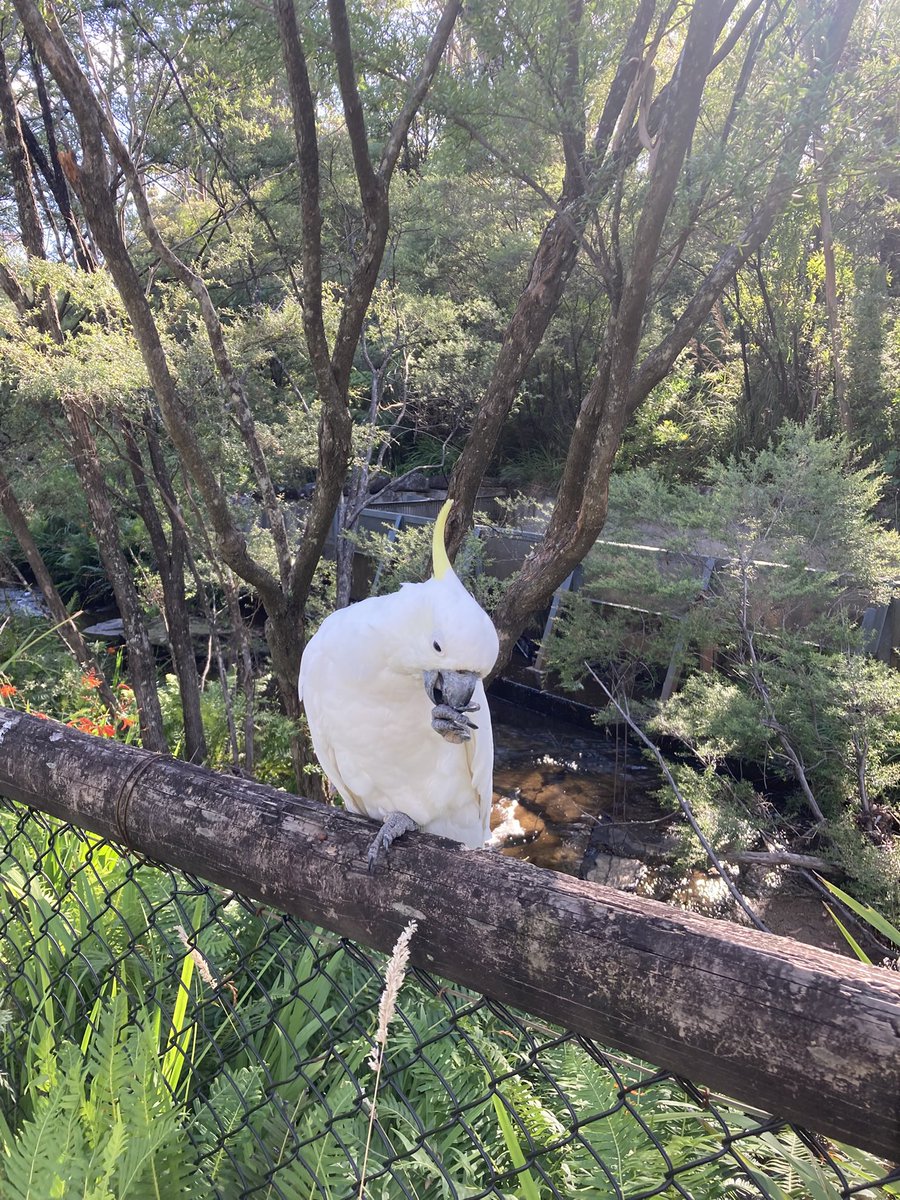 Amy Fallon tweet media