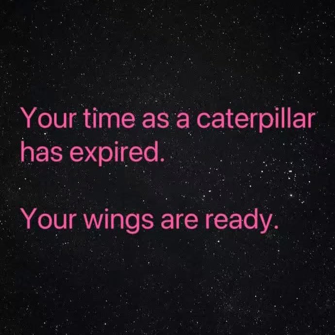 🧬Maxpein🧬 (@maximumpain333) on Twitter photo 