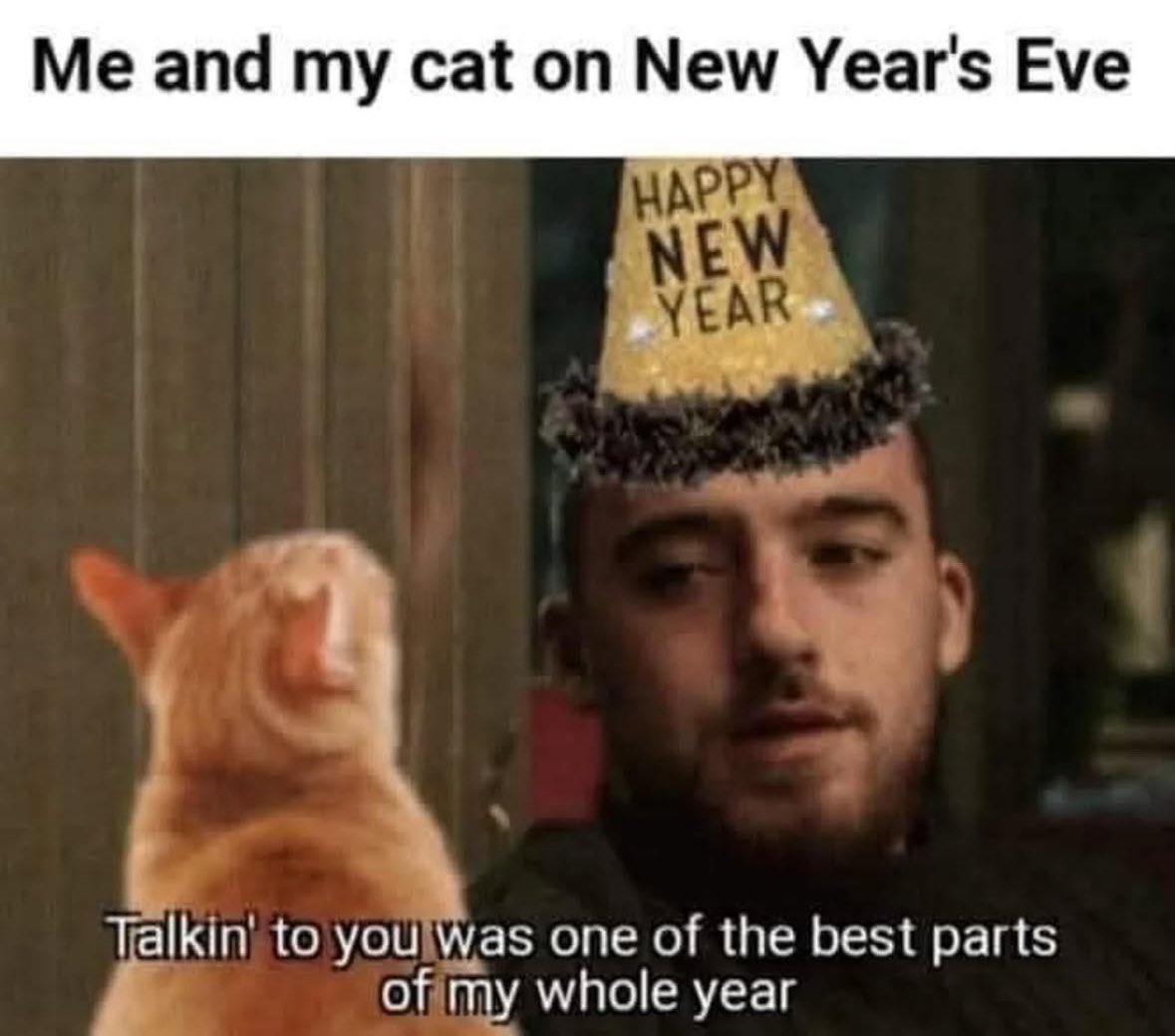PunchingCat's tweet photo. real https://t.co/xrlr6F3Gl3
