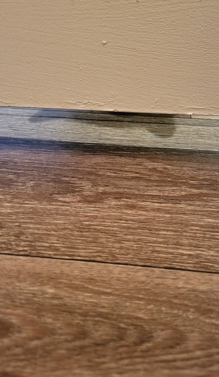 Can't ever use the bathroom in peace
🐈‍⬛