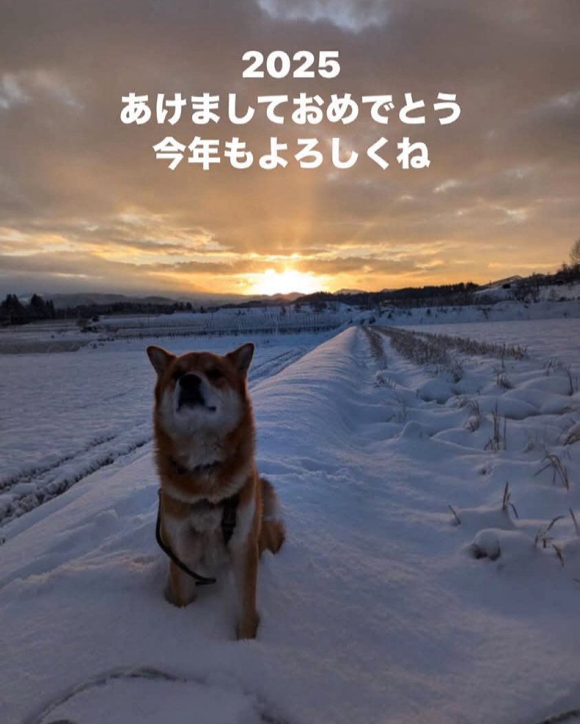 TomyMuesli's tweet photo. 2025年の夜明け
新しい年の始まりです

今年も健康1番、
腸に嬉しいあま酒ミューズリーやプロテインバー、自然栽培の野菜、など自然体でお届けします
カフェは明日2日12時から営業します https://t.co/i9b9unl4YQ