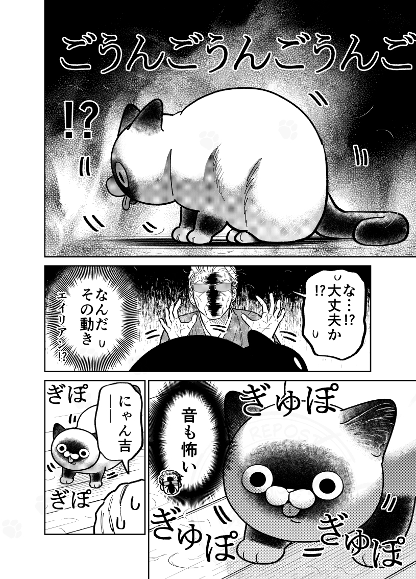 換毛期の洗礼を受ける元極道の話。

(0/3)

#漫画が読めるハッシュタグ
#猫にカチ込まれる暮らし 