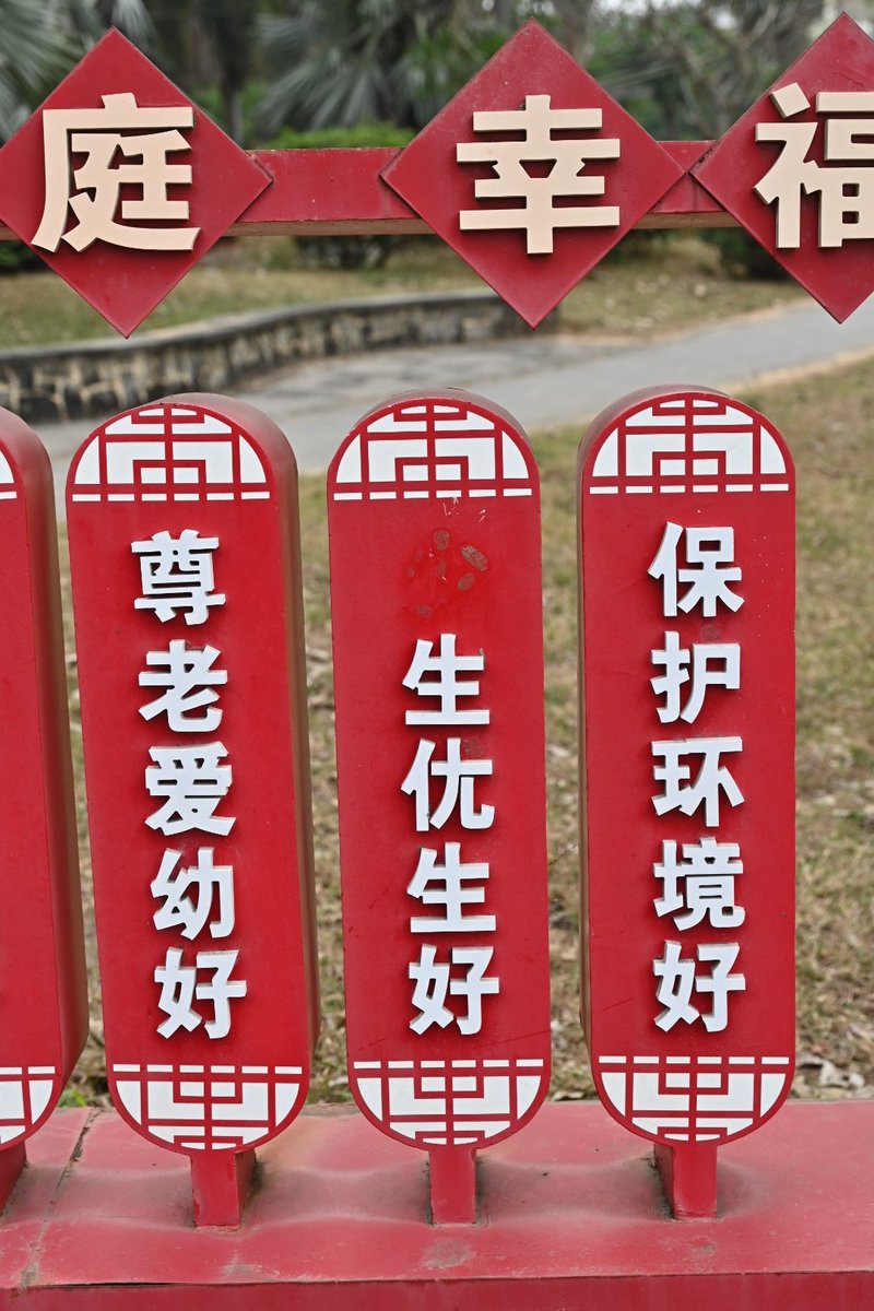 Suyi控 tweet media