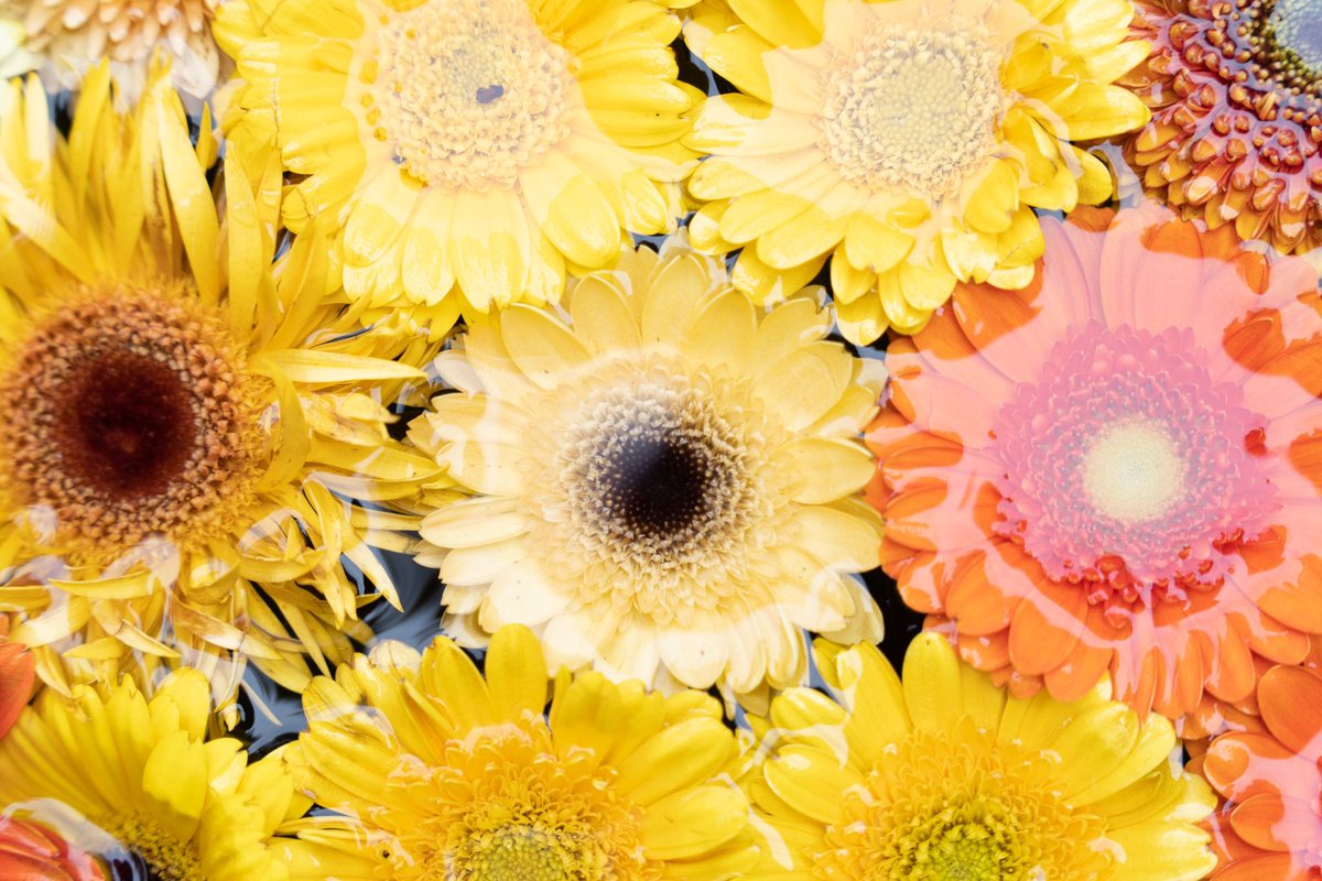 Ryo さん専用ページ Ryoページ りょう (@zx14ryo) / Posts / X