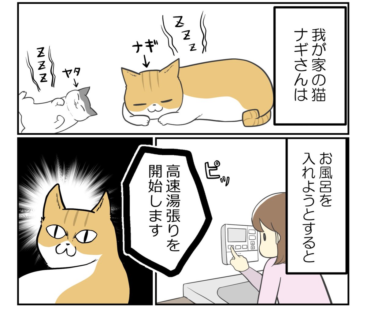 新年なので我が家の猫たちを見て欲しいです🐈🐈‍⬛

【ギリギリを楽しむ猫に事件発生】(1/3) 